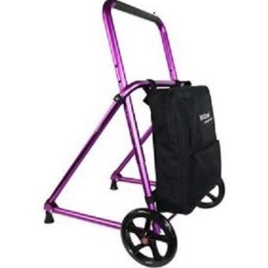 Andador para Ancianos Plegable con Cesta – Ligero y seguro – Calidad de vida | INdes01010